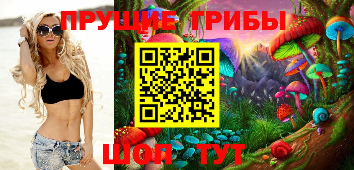 Киржач  Псилоцибиновые грибы мицелий  Вход с VPN 